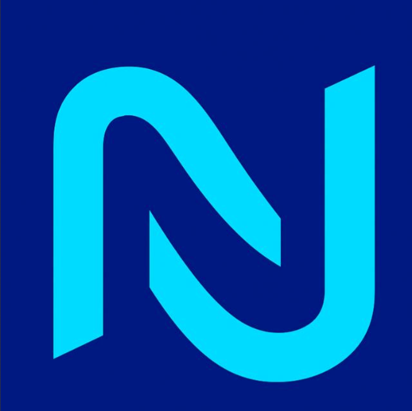 Nduna AI Logo